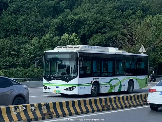 湘A 92312D