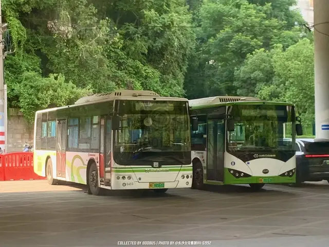 湘A 98561D、湘A 00263D
