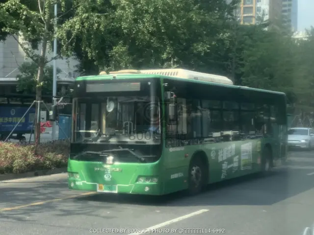 湘A 01980D