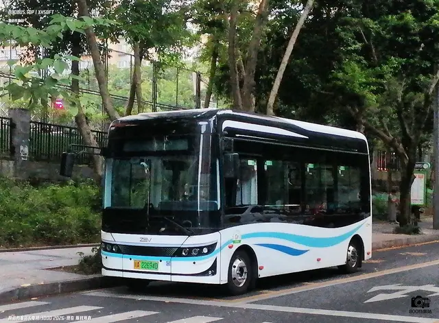 800BUS