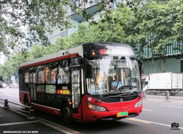 川A 16794D