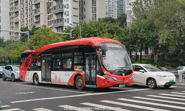川A 16903D