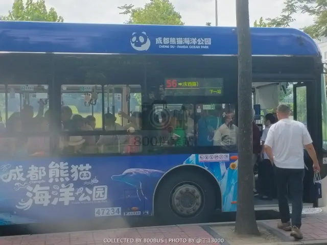 川A 00103D