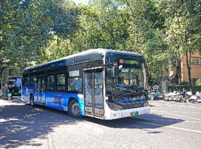 川A 10795D