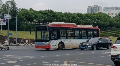 川A Q8082