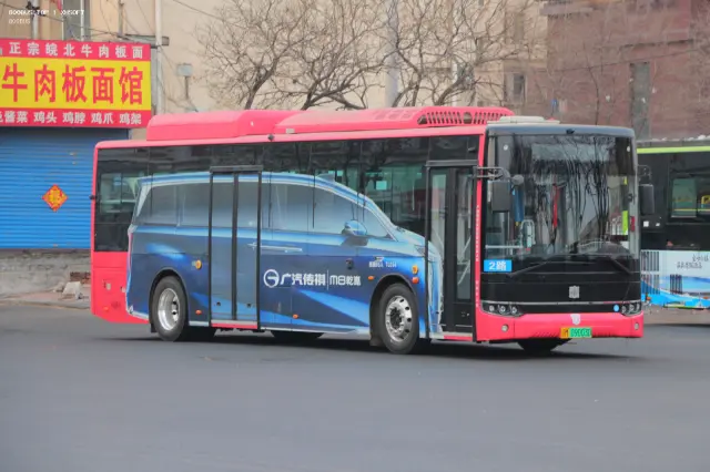 800BUS