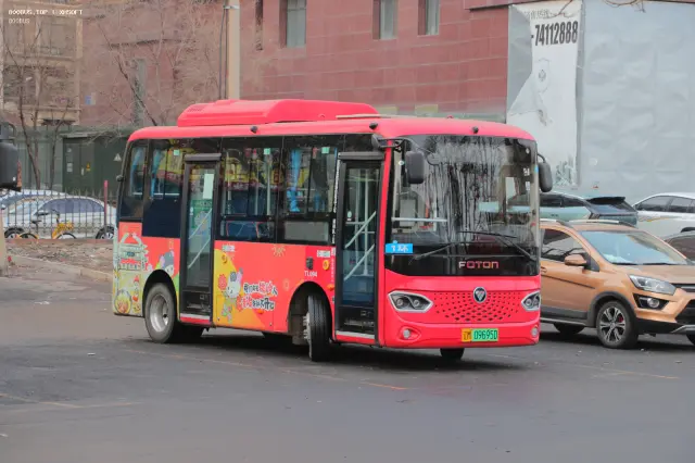 800BUS