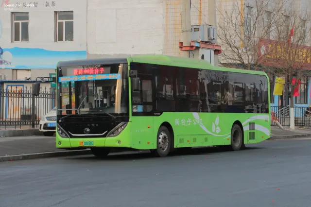800BUS