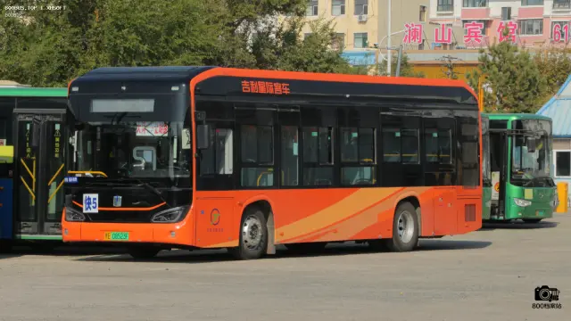 800BUS