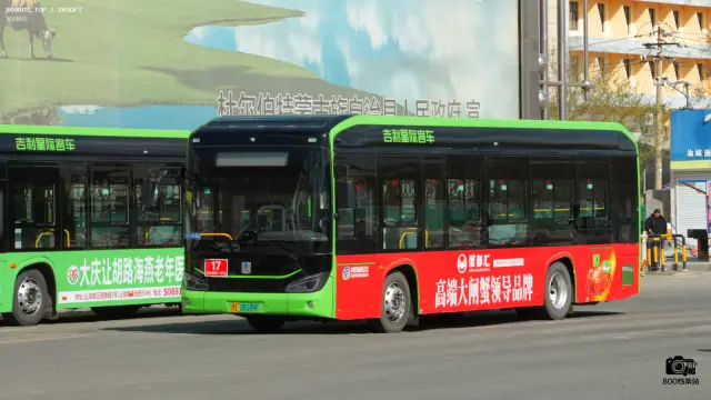 800BUS