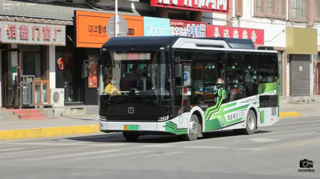 800BUS