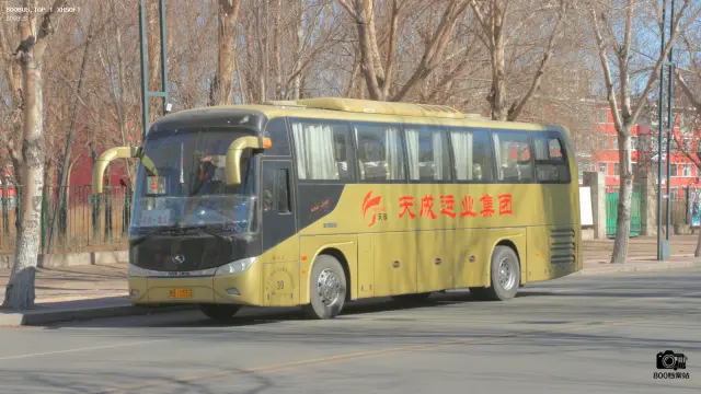 800BUS