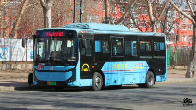 800BUS