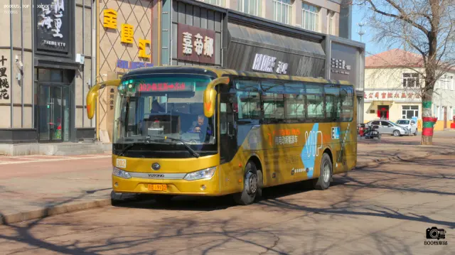 800BUS