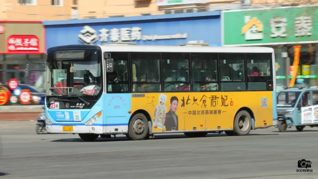 800BUS