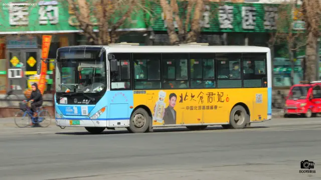 800BUS