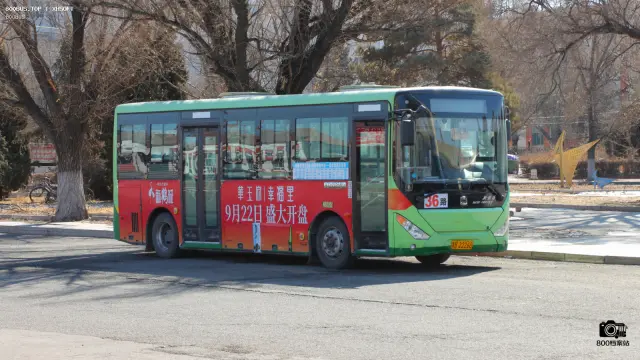 800BUS