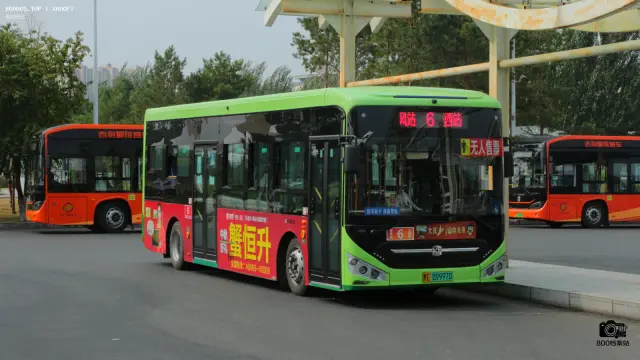 800BUS