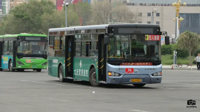 800BUS