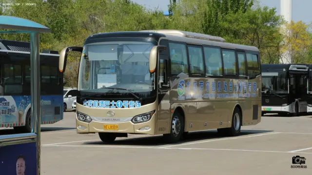 800BUS