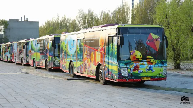 800BUS