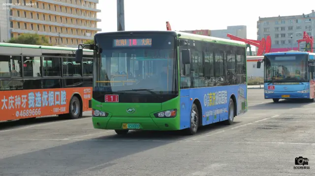 800BUS