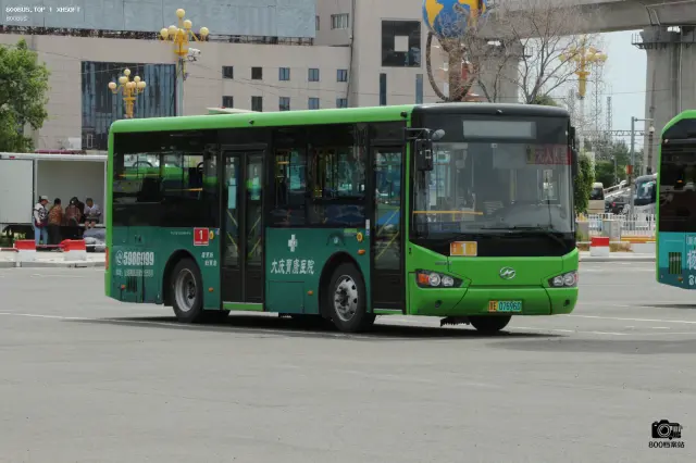 800BUS