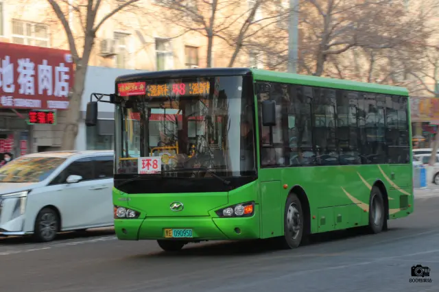 800BUS