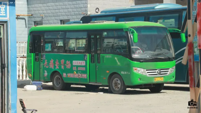 800BUS