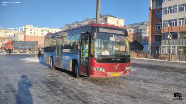 800BUS
