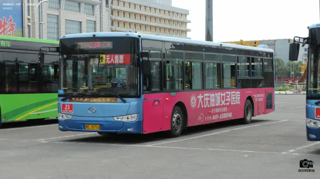 800BUS
