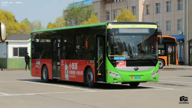 800BUS