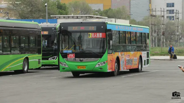 800BUS