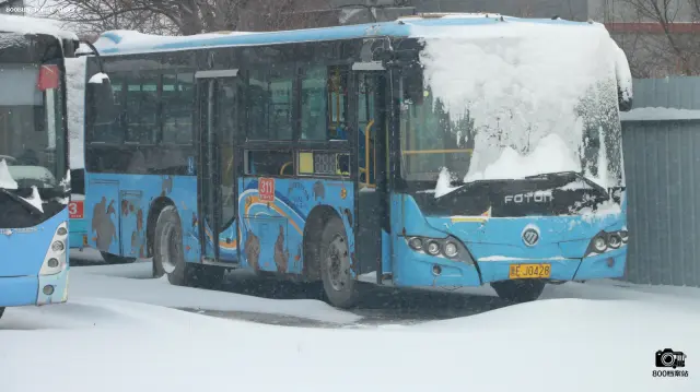 800BUS