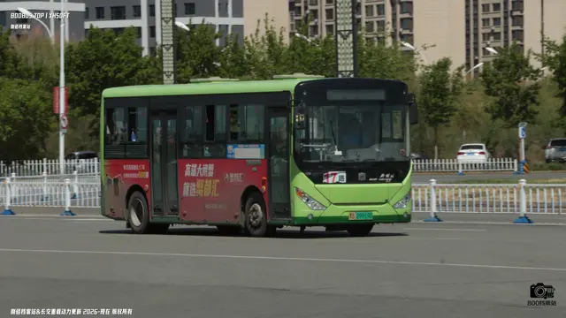 黑B 09919D
