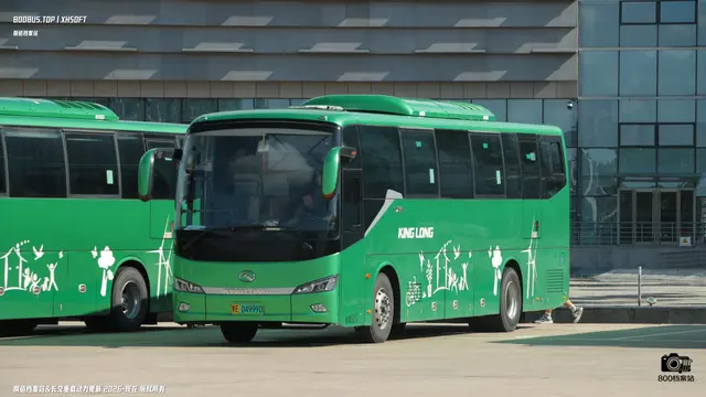 800BUS