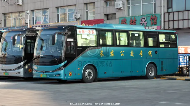 吉A 01631D