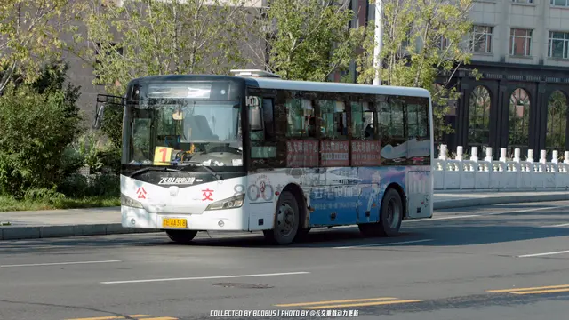 800BUS