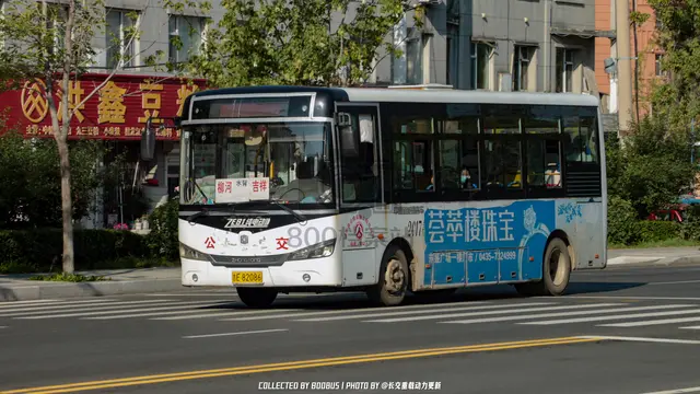 800BUS