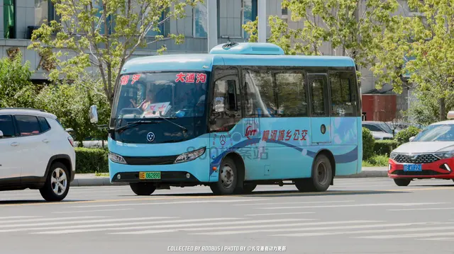 800BUS