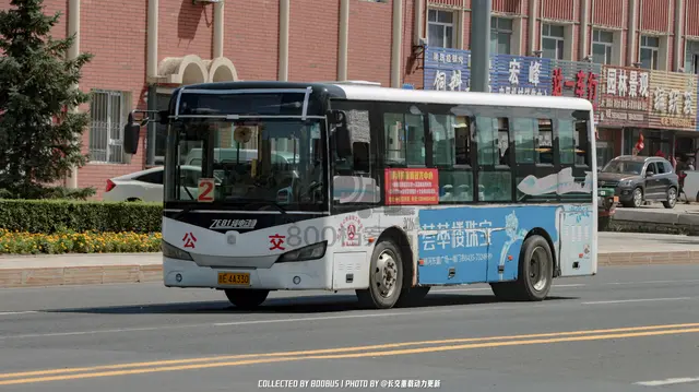 800BUS