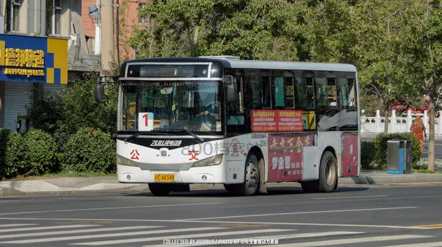 800BUS