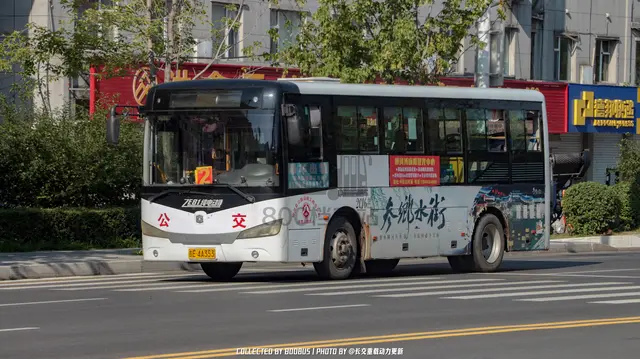 800BUS
