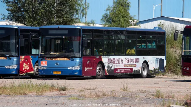 黑E J3736