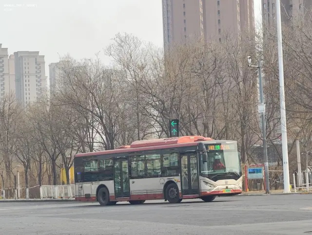 津A 04894D