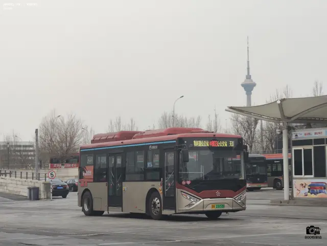 800BUS