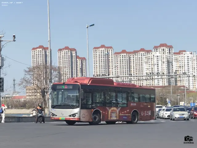 800BUS