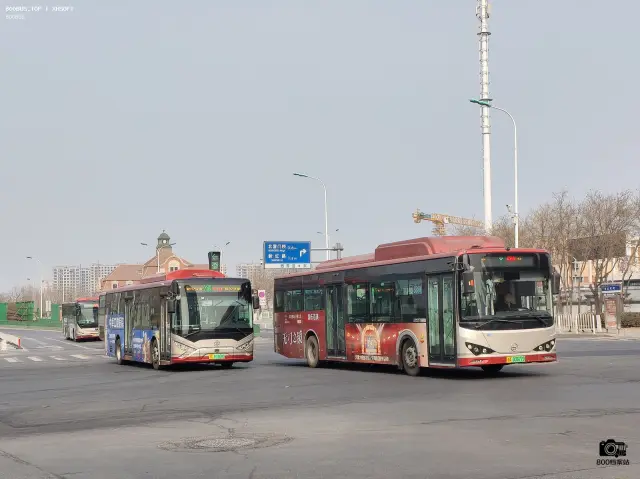 津A 03677D