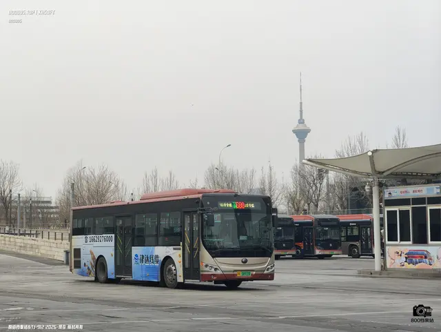 800BUS