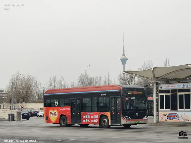 800BUS